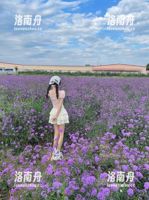 IMiss爱蜜社-Nono酱 IMiss爱蜜社 - Nono酱私房写真合集,仿佛开启了一个梦幻姐姐的美丽世界,快来看看!
