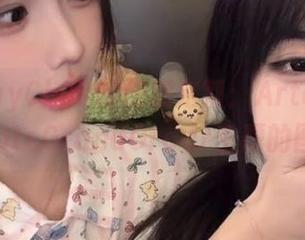 PuyPuyChan的创意定制：ArtoriaLancerFateGrandOrder主题的图片狂欢