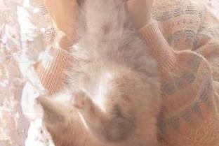 丽柜 – 美图更新通知：xilly女友最新作品，展现她的优雅与气质