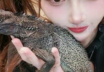 凛子酱的创意写真合集：希娜小姐的绝美图片任你收藏