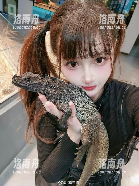 凛子酱 凛子酱的创意写真合集:希娜小姐的绝美图片任你收藏