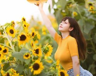 前羽rr倾心创作的向日葵cos：唯美写真照片展现青春与阳光的完美交融