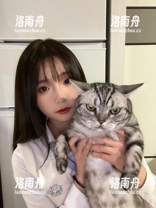 是青水 是青水私房灵感集:一组绝佳原图资源供你自由探索