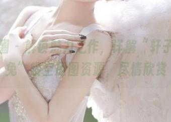 微密圈 – 解锁魅力之作，详解“轩子巨二兔”镂空原图资源，尽情欣赏